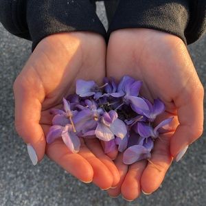 Meet your Posher, Dawn